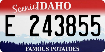 ID license plate E243855