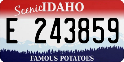 ID license plate E243859