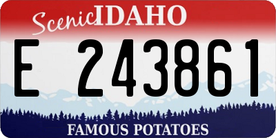 ID license plate E243861