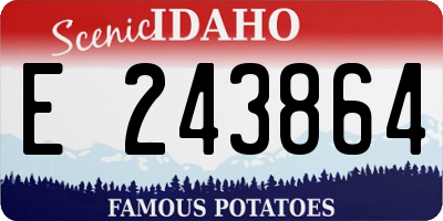 ID license plate E243864