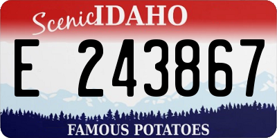 ID license plate E243867