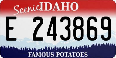 ID license plate E243869