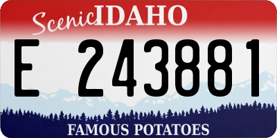 ID license plate E243881