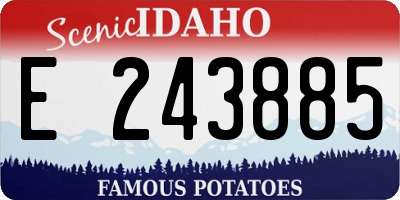 ID license plate E243885