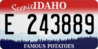 ID license plate E243889