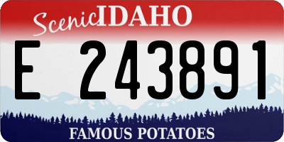 ID license plate E243891