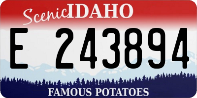 ID license plate E243894