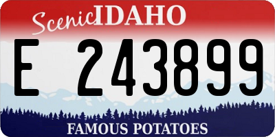 ID license plate E243899