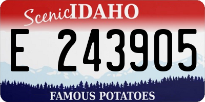 ID license plate E243905