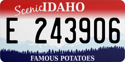 ID license plate E243906