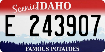 ID license plate E243907