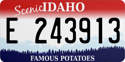 ID license plate E243913