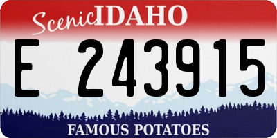ID license plate E243915