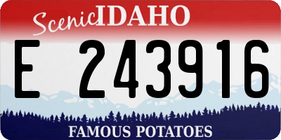 ID license plate E243916