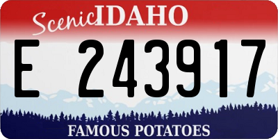 ID license plate E243917