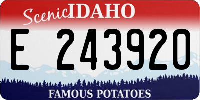 ID license plate E243920