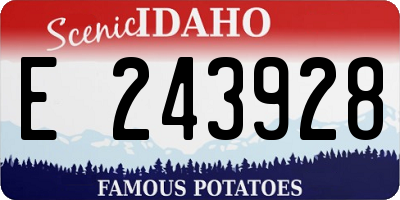 ID license plate E243928