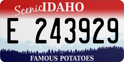 ID license plate E243929