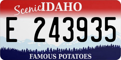 ID license plate E243935
