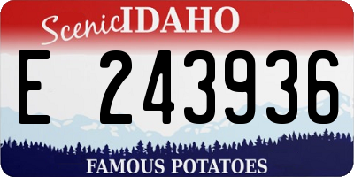 ID license plate E243936