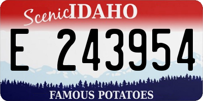 ID license plate E243954