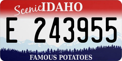 ID license plate E243955