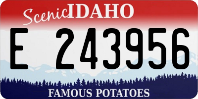 ID license plate E243956
