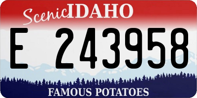 ID license plate E243958
