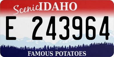 ID license plate E243964