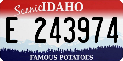 ID license plate E243974