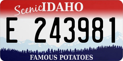 ID license plate E243981
