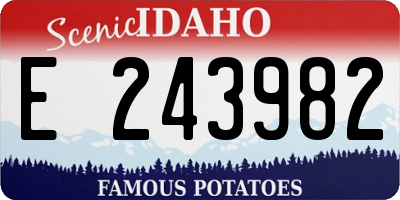 ID license plate E243982