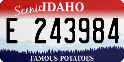 ID license plate E243984