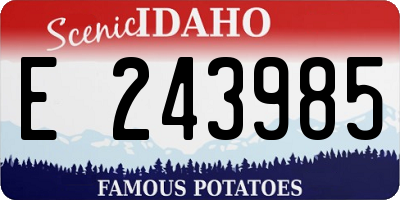 ID license plate E243985