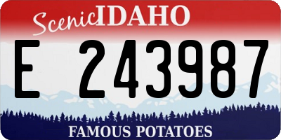 ID license plate E243987