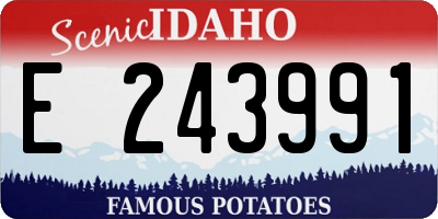 ID license plate E243991
