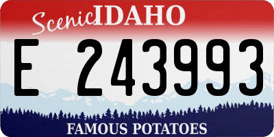ID license plate E243993