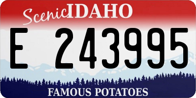 ID license plate E243995