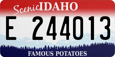 ID license plate E244013