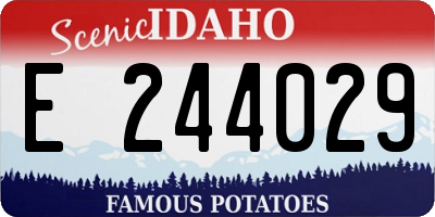 ID license plate E244029