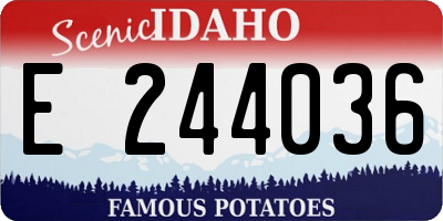 ID license plate E244036