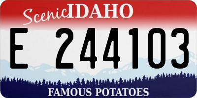 ID license plate E244103