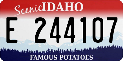 ID license plate E244107