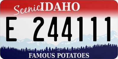 ID license plate E244111