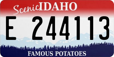 ID license plate E244113