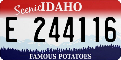 ID license plate E244116