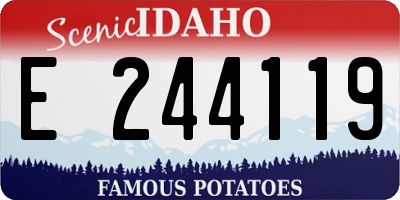 ID license plate E244119