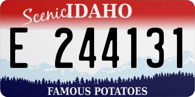 ID license plate E244131