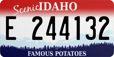 ID license plate E244132