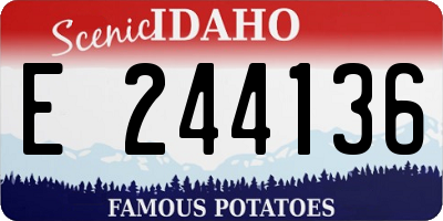 ID license plate E244136